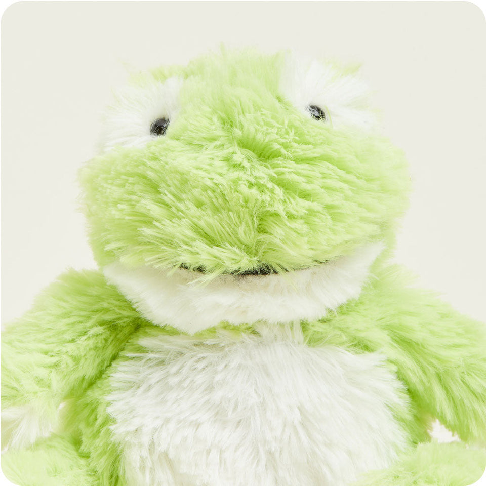 Frog Warmies Junior - Cozy Celebration Pick