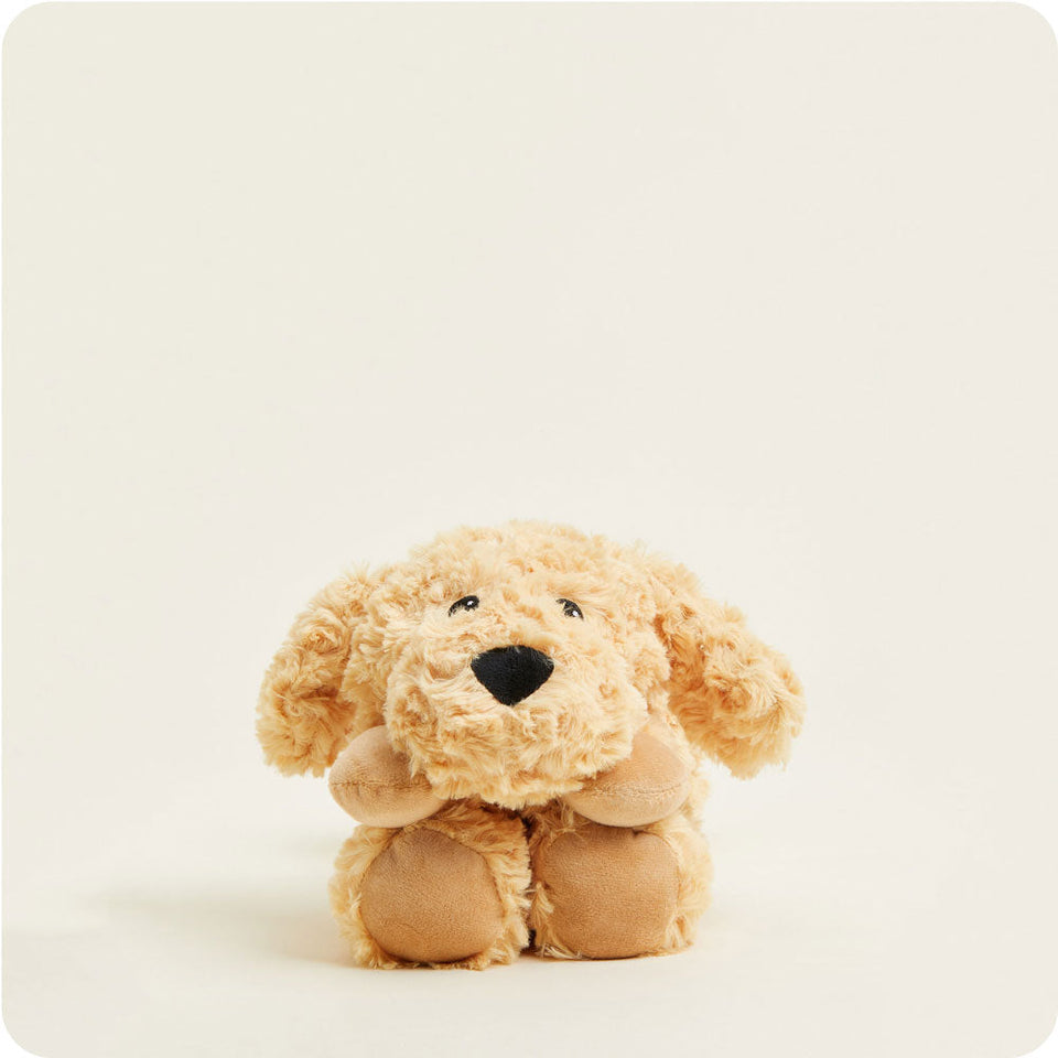 Golden Dog Warmies Wrap - Daily Comfort Pick