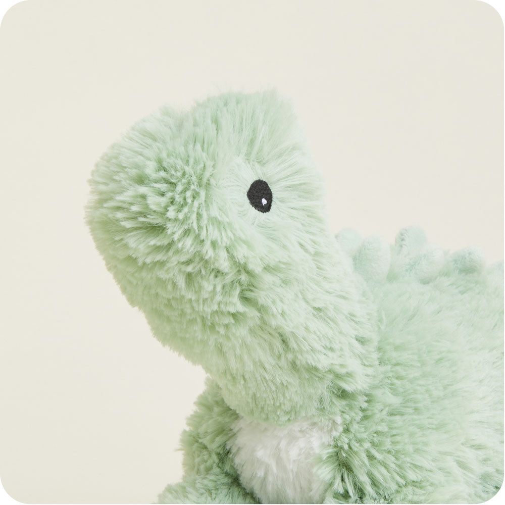 Image 101: Green Long Neck Dinosaur Stuffed Animal Warmies